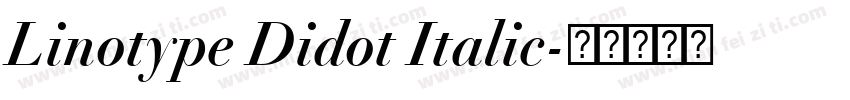 Linotype Didot Italic字体转换
